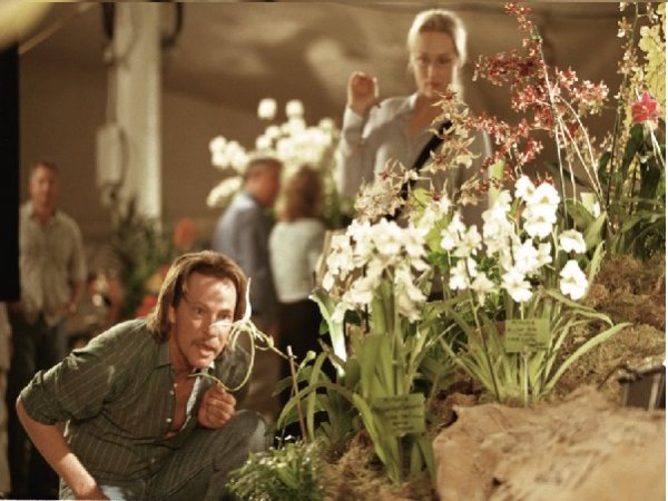 Risultati immagini per il ladro di orchidee film 2002
