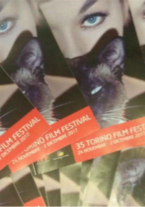 Torino Film Festival 35 - Diario giornaliero