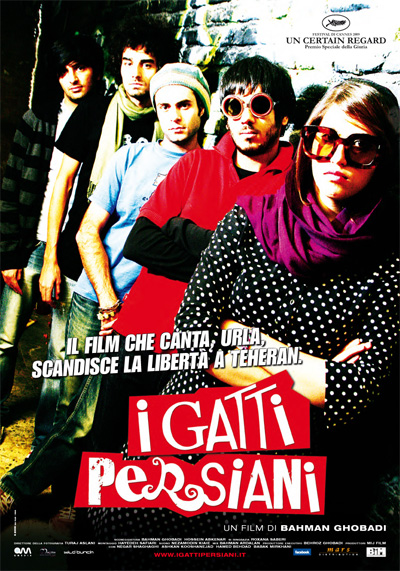 I gatti persiani