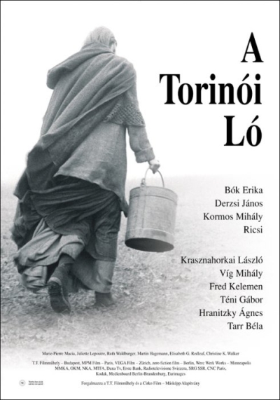 Il cavallo di Torino