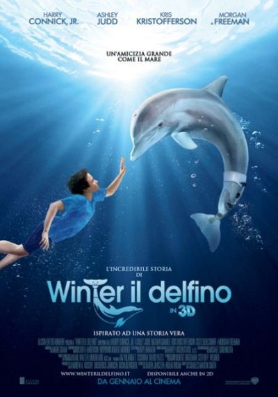L’incredibile storia di Winter il delfino