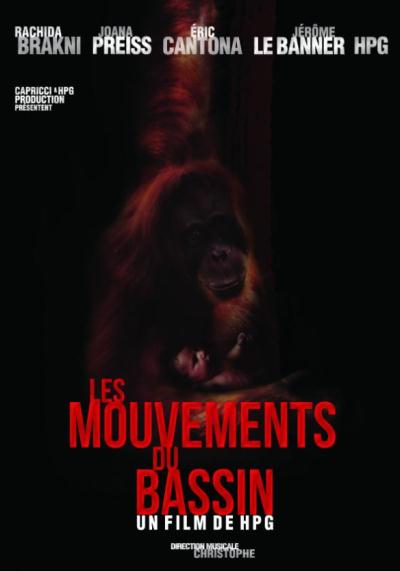Les Mouvements du Bassin