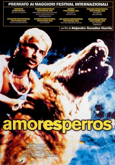 Amores perros