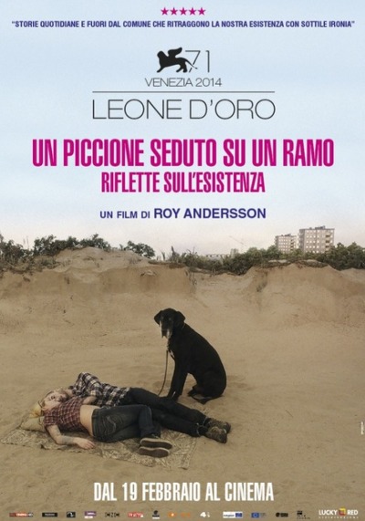 Un piccione seduto su un ramo riflette sull’esistenza