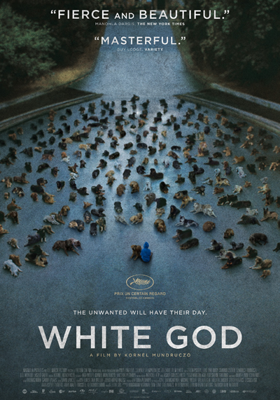 White God – Sinfonia per Hagen