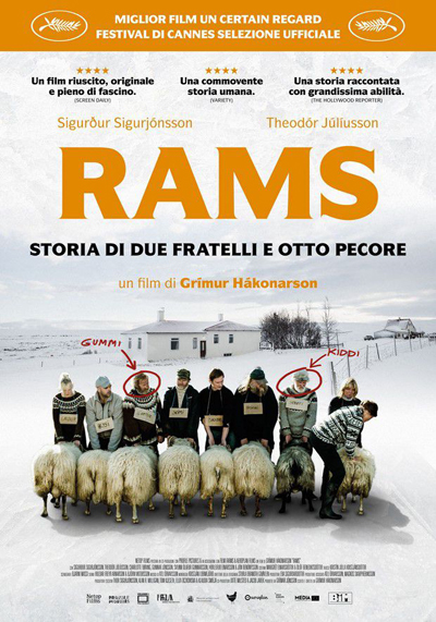 Rams – Storia di due fratelli e otto pecore
